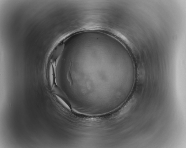 X0000096971461200802221352