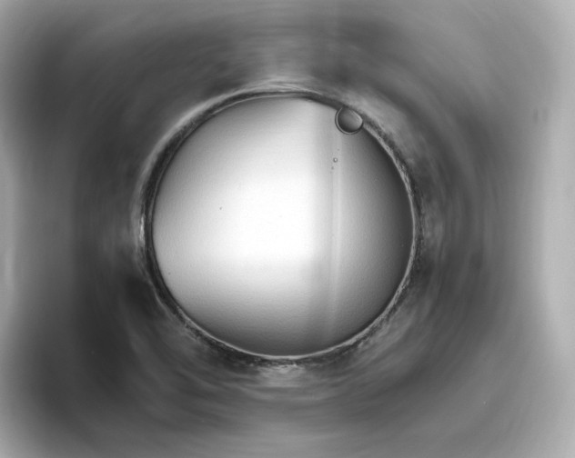 X0000096971462200802221352