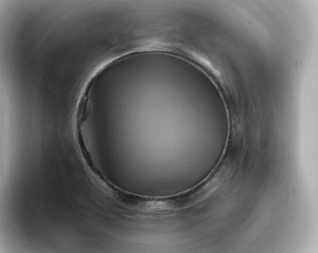 X0000096971463200802221352