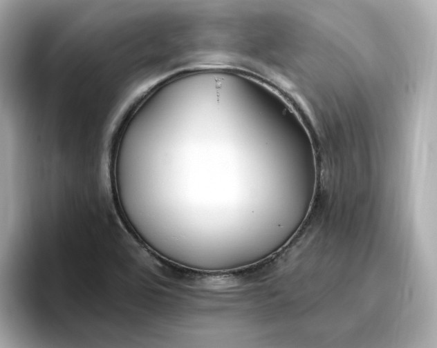 X0000096971464200802221352