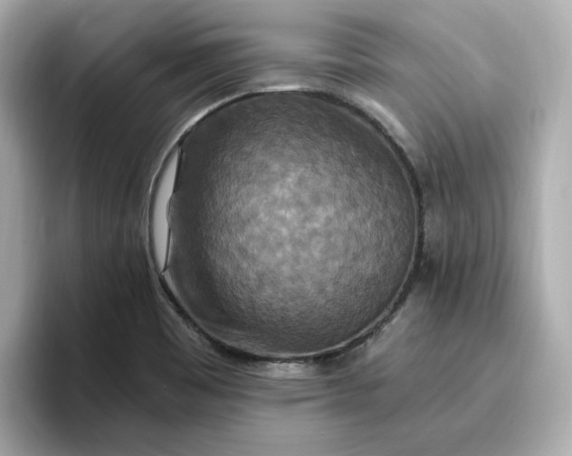 X0000096971465200802221352