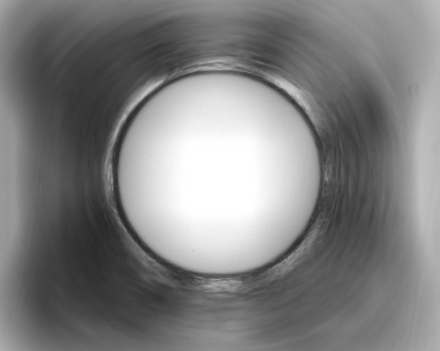 X0000096971466200802221352