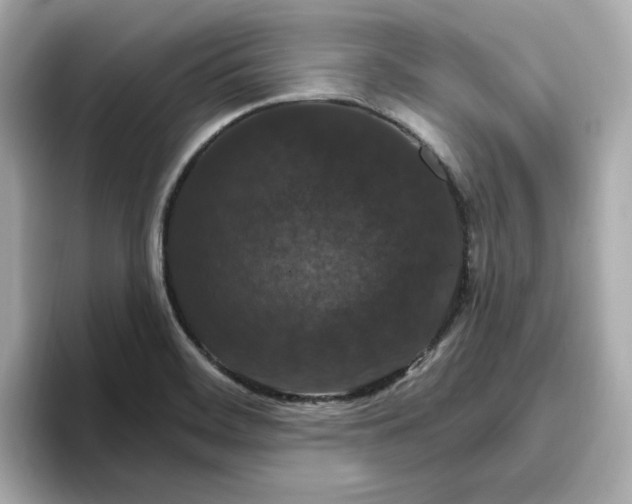 X0000096971468200802221352