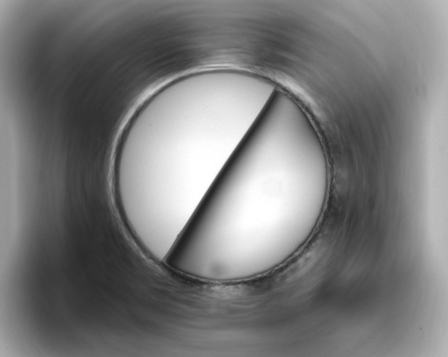 X0000096971469200802221352