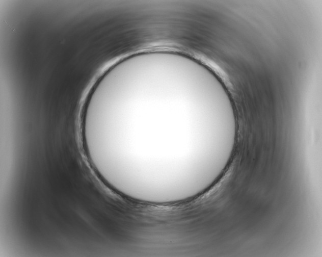 X0000096971470200802221352