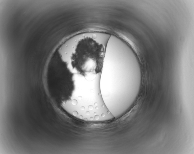 X0000096971471200802221352