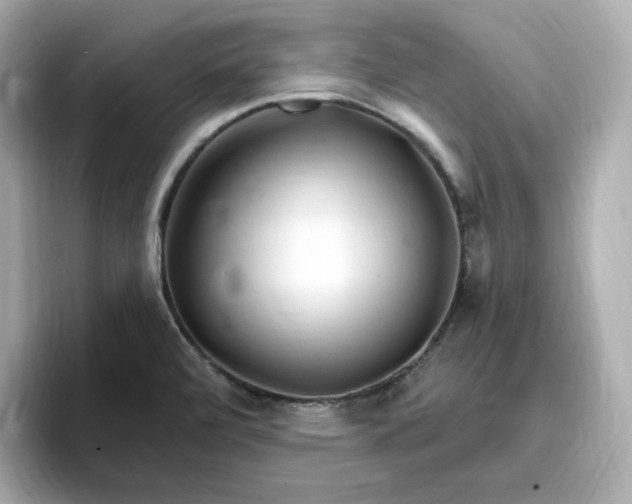 X0000096971472200802221352