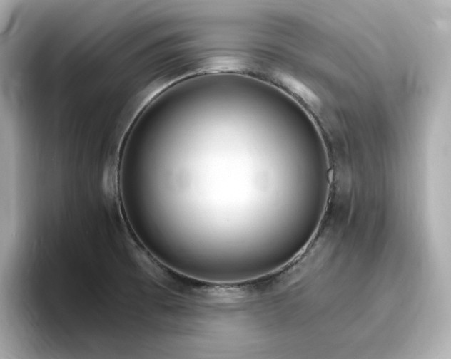 X0000096971473200802221352