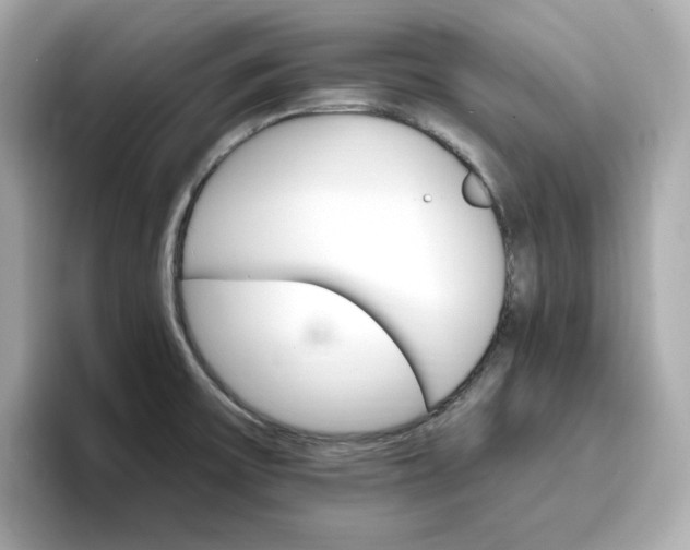 X0000096971475200802221352