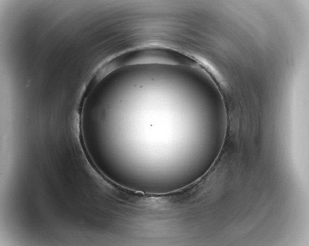 X0000096971476200802221352