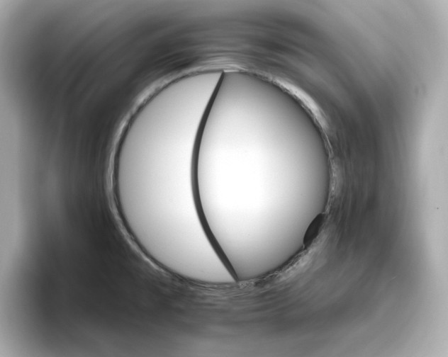 X0000096971477200802221352