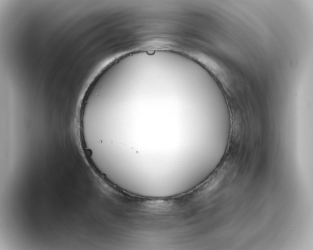 X0000096971478200802221352