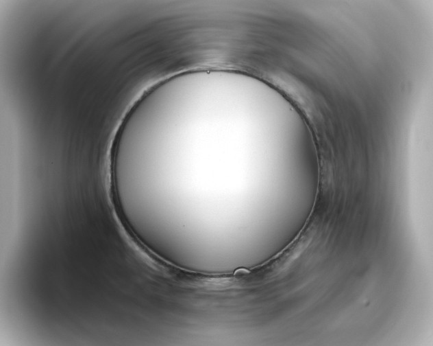 X0000096971479200802221352