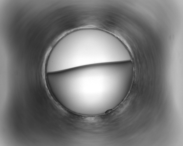 X0000096971480200802221352