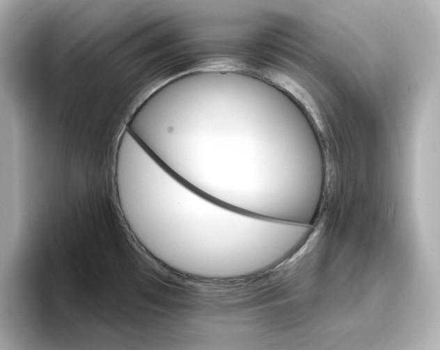 X0000096971481200802221352