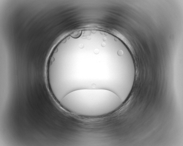 X0000096971482200802221352