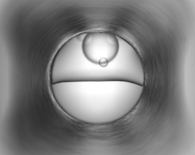 X0000096971483200802221352