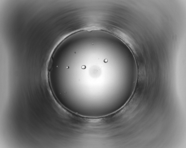 X0000096971484200802221352