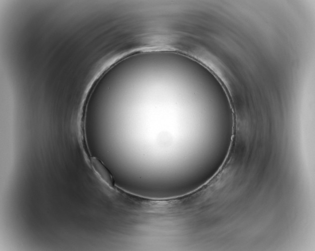 X0000096971485200802221352