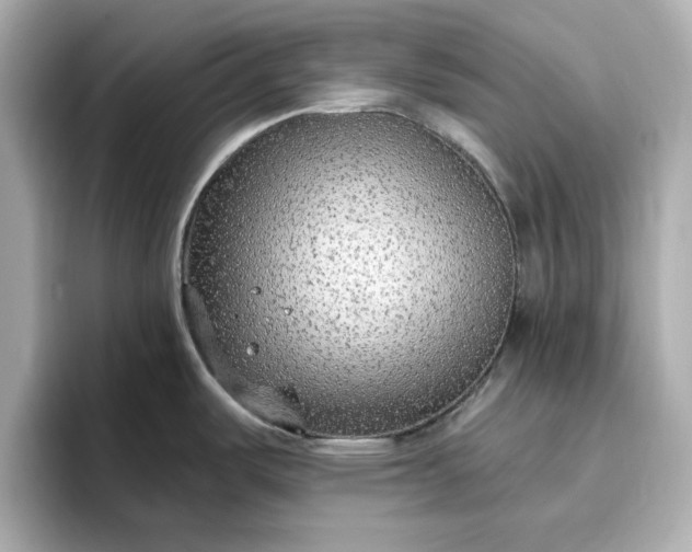 X0000096971487200802221352