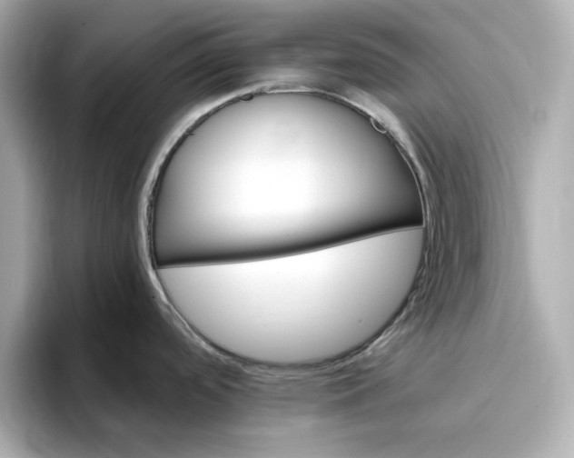 X0000096971488200802221352