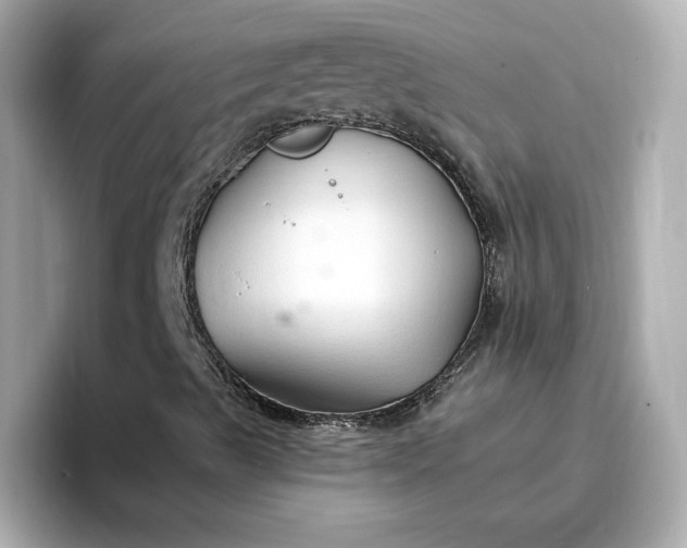 X0000096971489200802221351