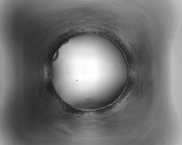 X0000096971490200802221351