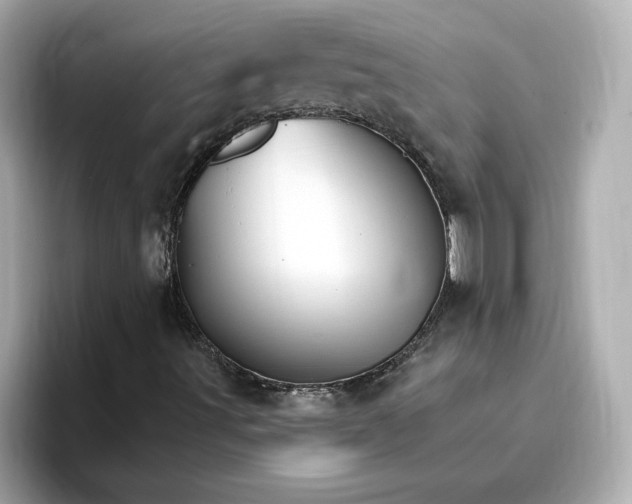 X0000096971491200802221351