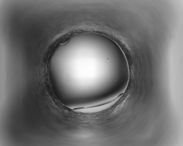 X0000096971494200802221351