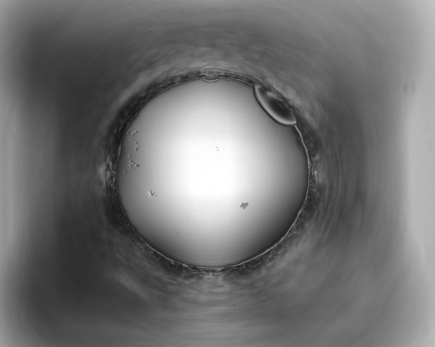 X0000096971495200802221351