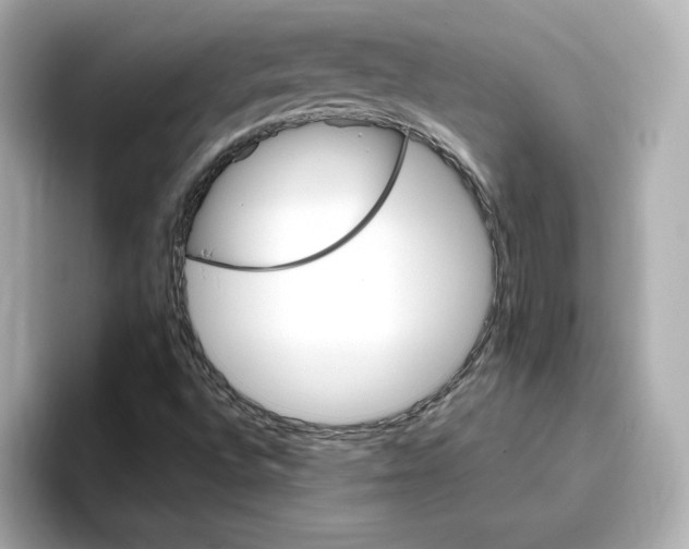 X0000096971496200802221351