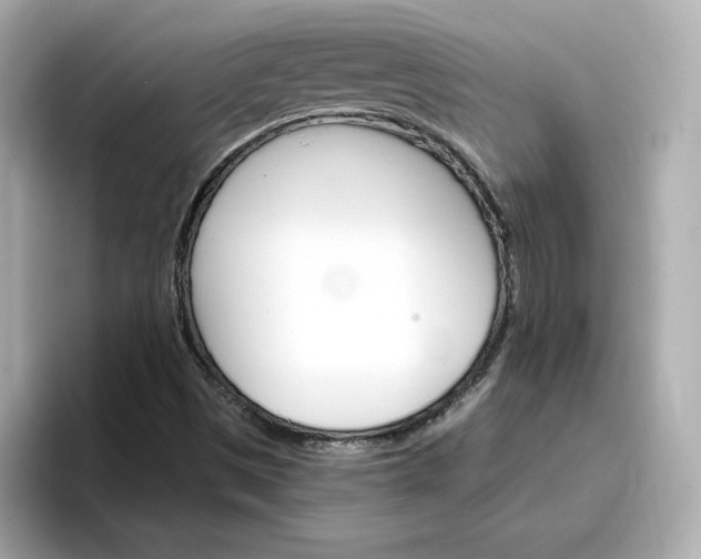 X0000096971497200802221352