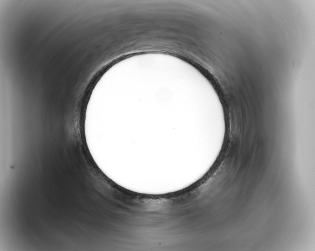 X0000096971498200802221352