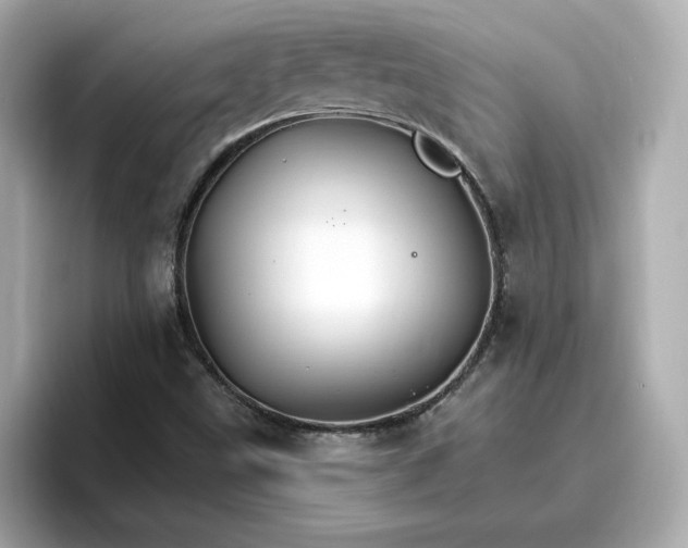 X0000096971499200802221352