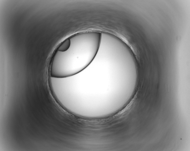 X0000096971500200802221352