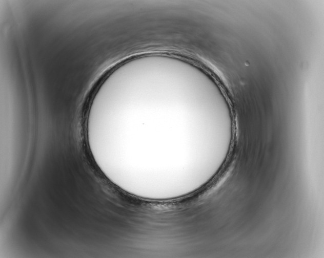 X0000096971501200802221352