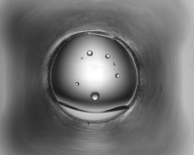 X0000096971502200802221352