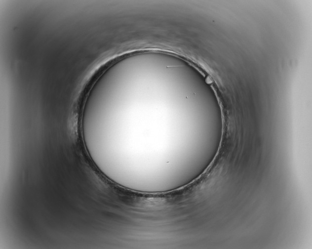 X0000096971503200802221352