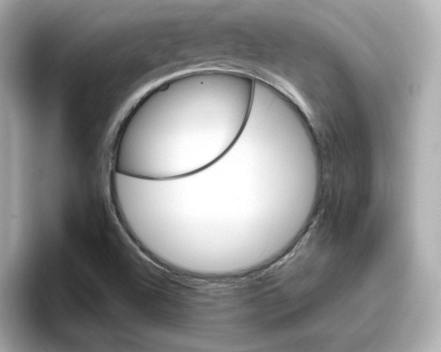 X0000096971504200802221352