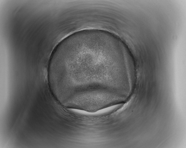 X0000096971505200802221352