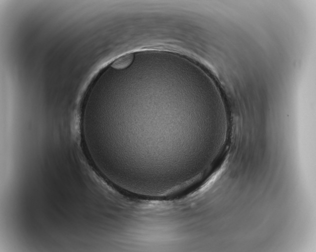 X0000096971506200802221352