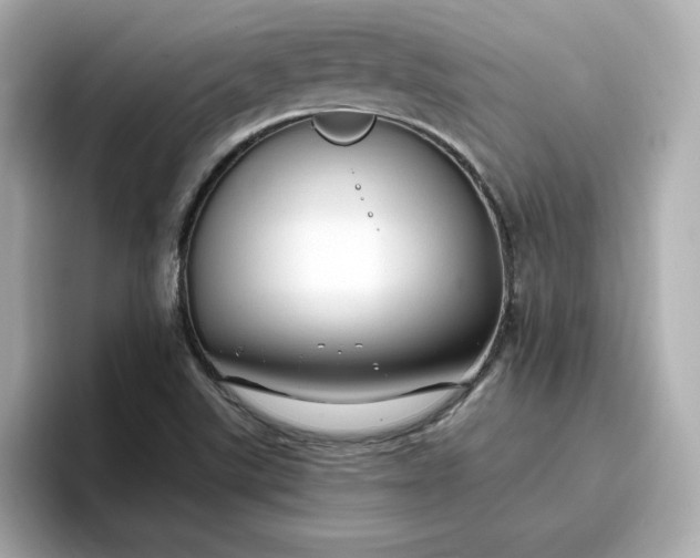 X0000096971507200802221352