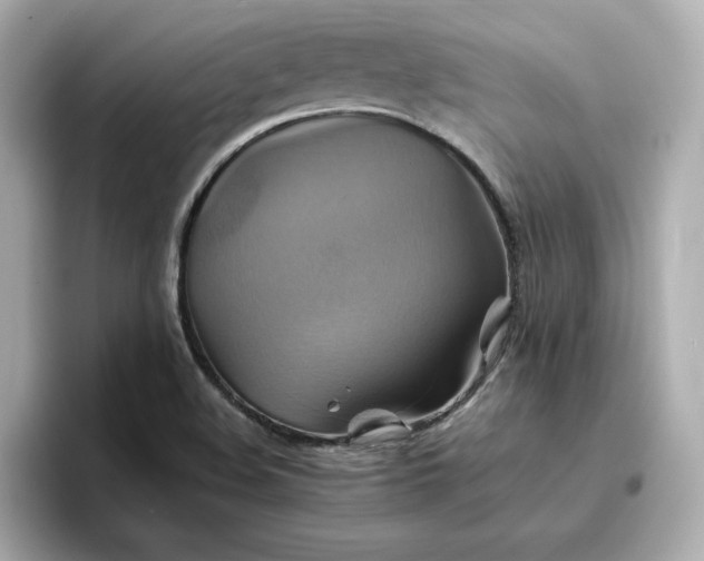 X0000096971508200802221352