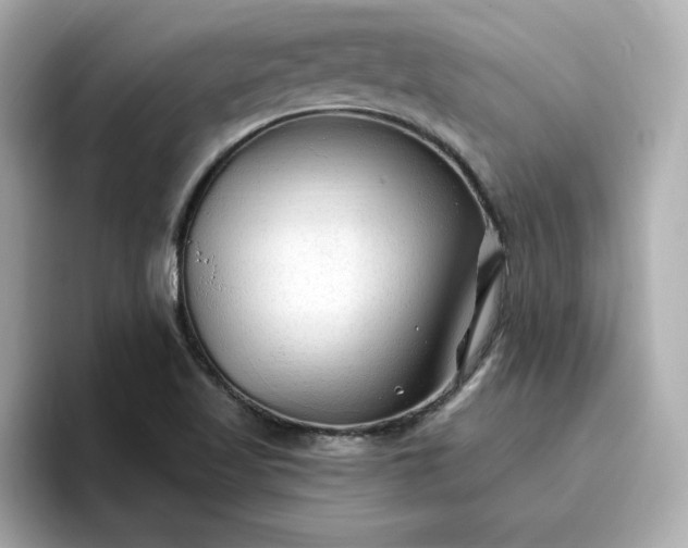 X0000096971509200802221352