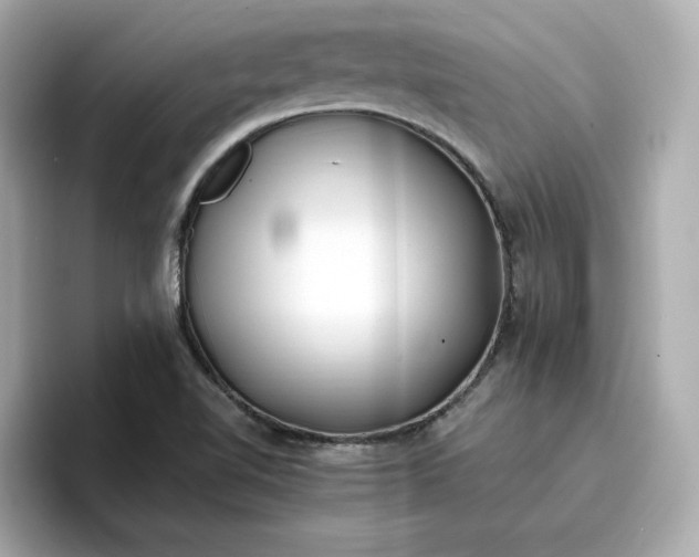 X0000096971510200802221352