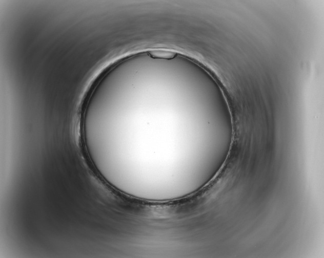 X0000096971511200802221352