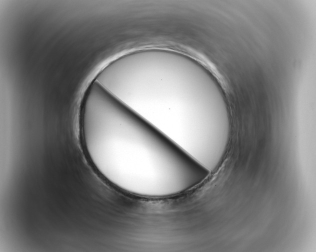 X0000096971512200802221352