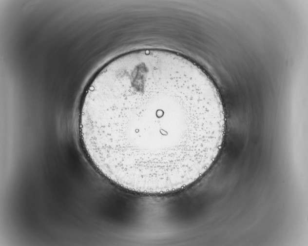 X0000096971514200802221352