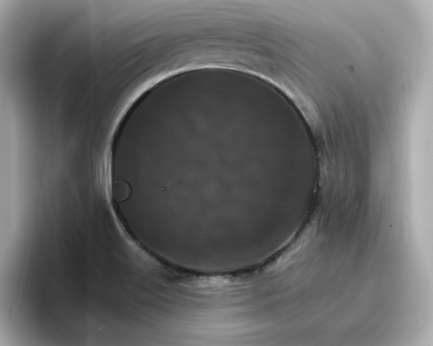 X0000096971515200802221352