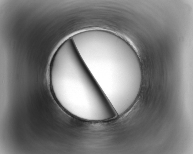 X0000096971516200802221352